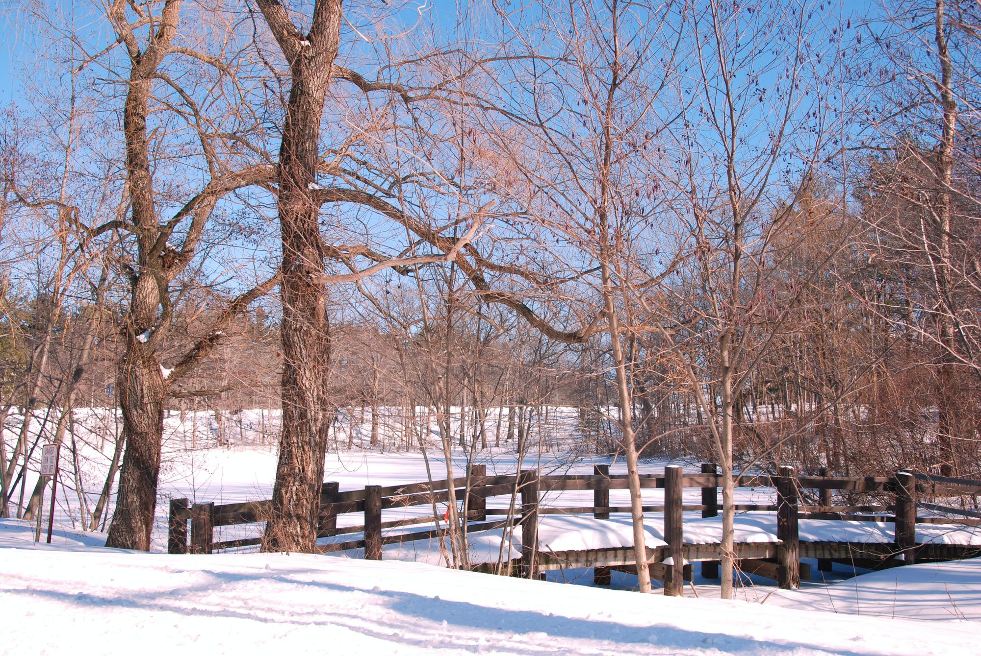 Snow covered bridge at Bentley University in Waltham, MA