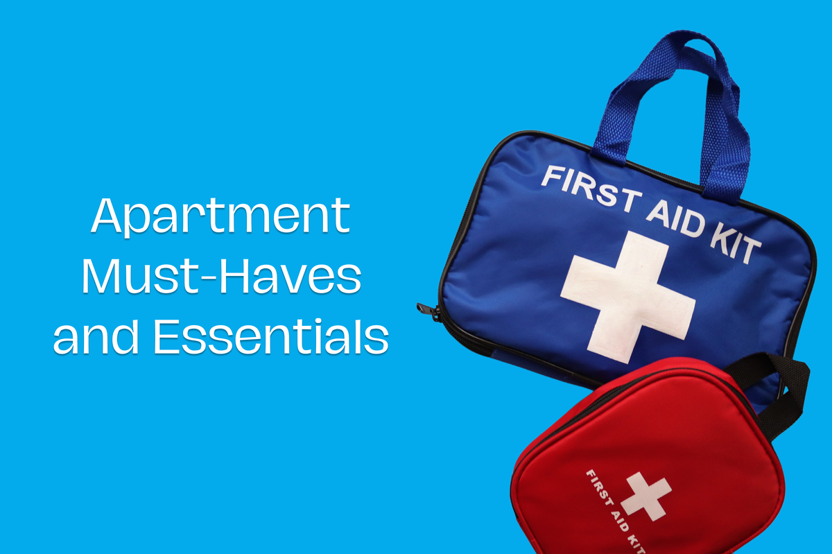 Apartment Must-Haves and Essentials