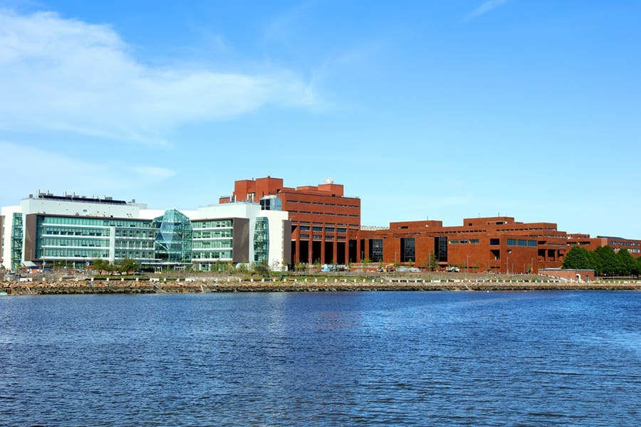 UMass Boston Campus Life and Housing: A Complete Guide to On-Campus, Off-Campus, and Nearby Apartment Options