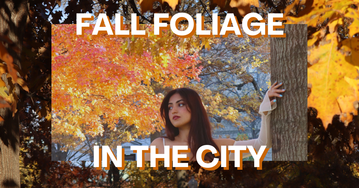 Fall in Love with Boston: A Guide to Stunning Fall Foliage & Fall Events 🍁🍂