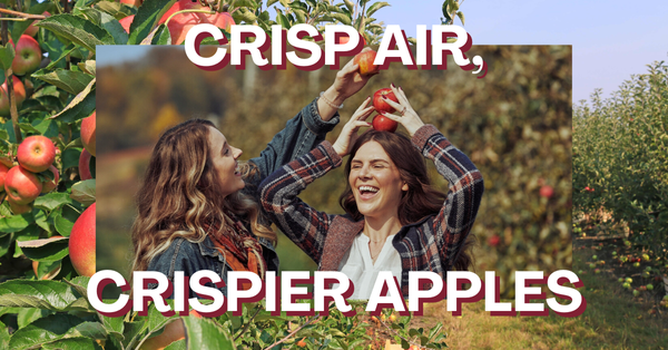 All The Fall Things: Crisp Air, Crispier Apples 🍎😋