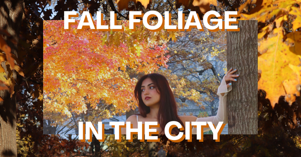 Fall in Love with Boston: A Guide to Stunning Fall Foliage & Fall Events 🍁🍂