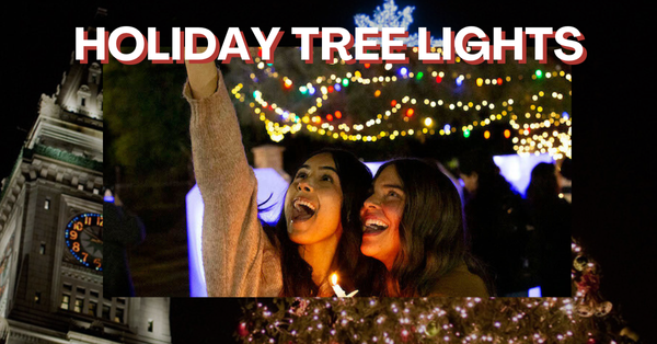 Light Up Your Week: Holiday Lights & Free Weekend Finds! 🎁